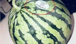 网红各种吃瓜网站大全,揭秘网红娱乐资讯聚集地